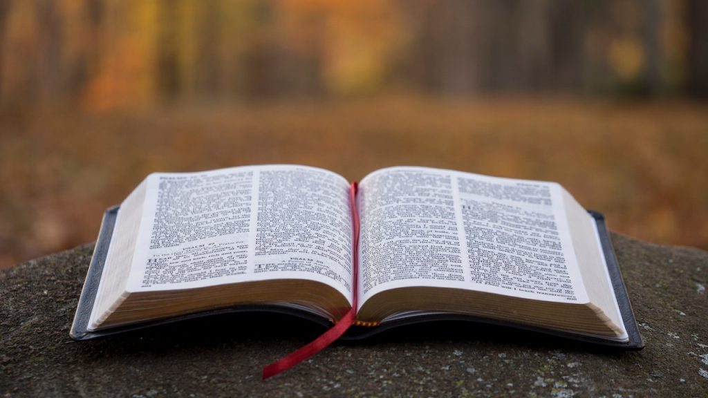 An open Bible sitting on a smooth rock in a forest.