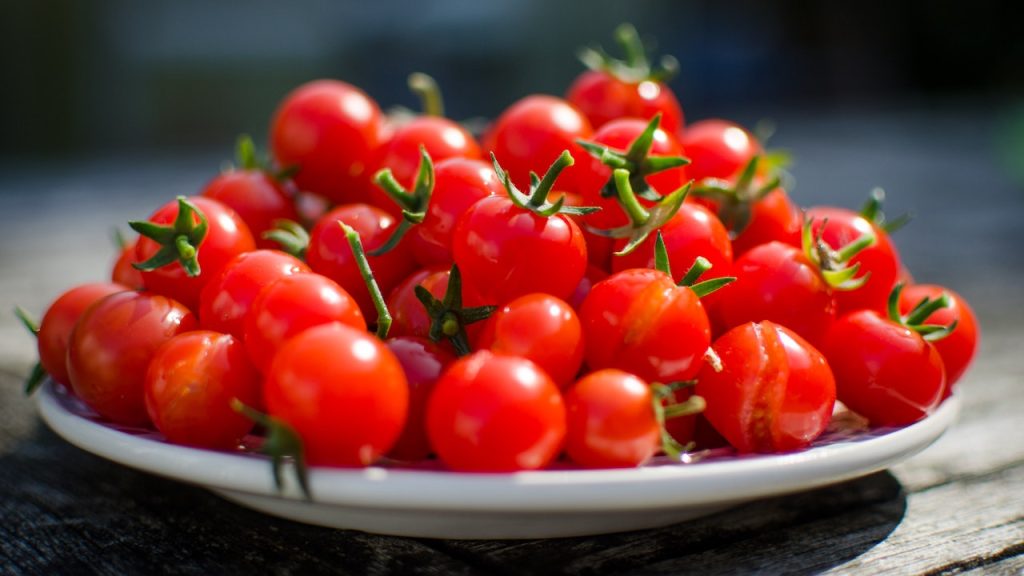 A bowl of ripe red cherry tomatoes freshly picked and sitting on a wooden table in the sunlight.