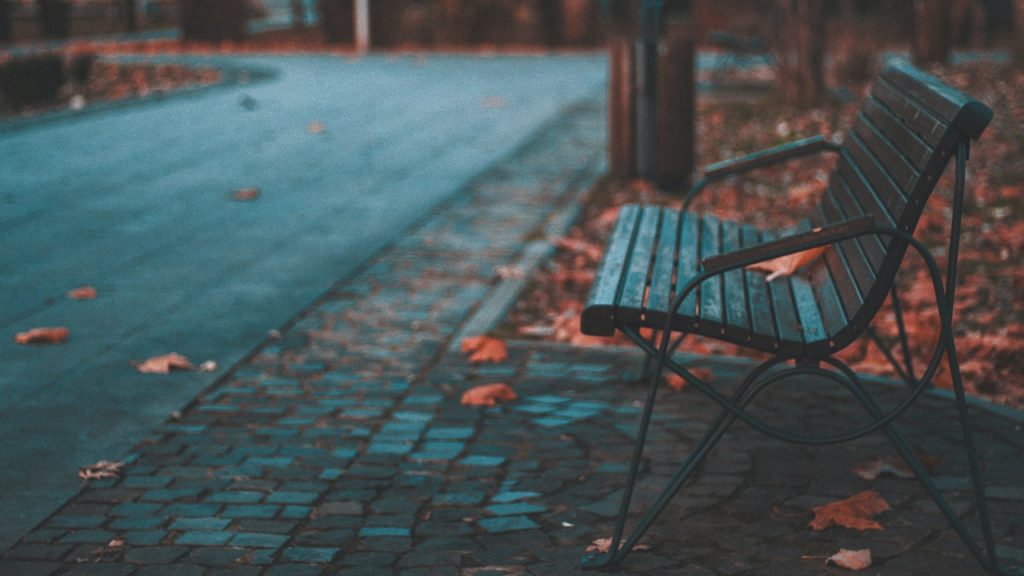 An empty bench in an autumnal park with brown maple leaves scattered on the ground.