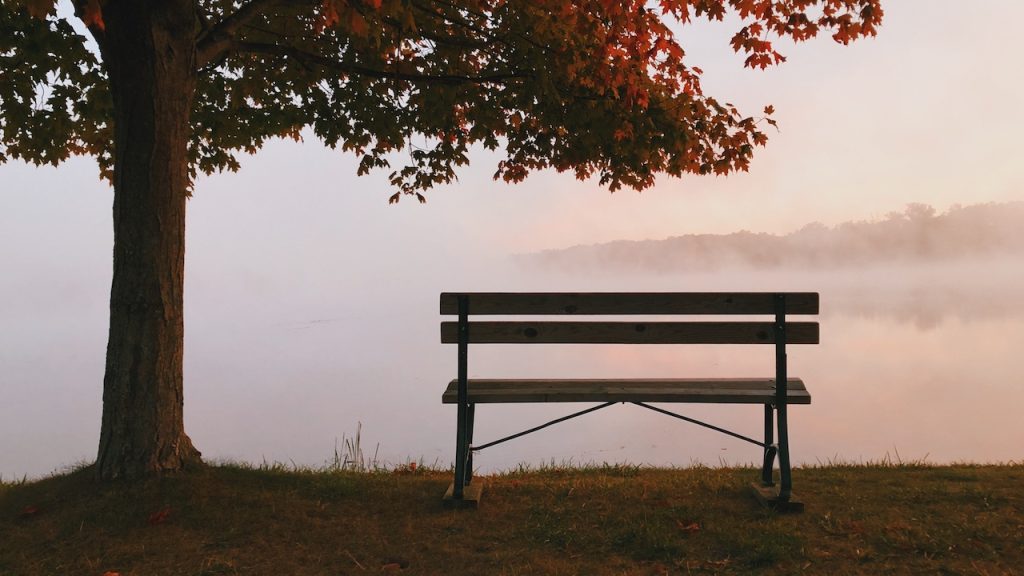 An empty park bench sitting under an autumnal tree looking out over a mist covered lake.