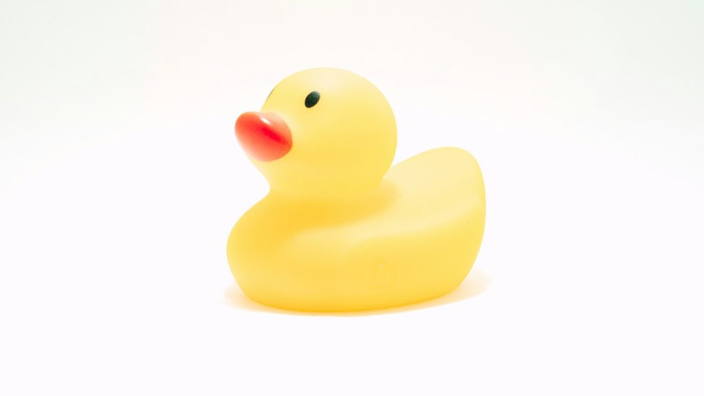 A rubber duck.