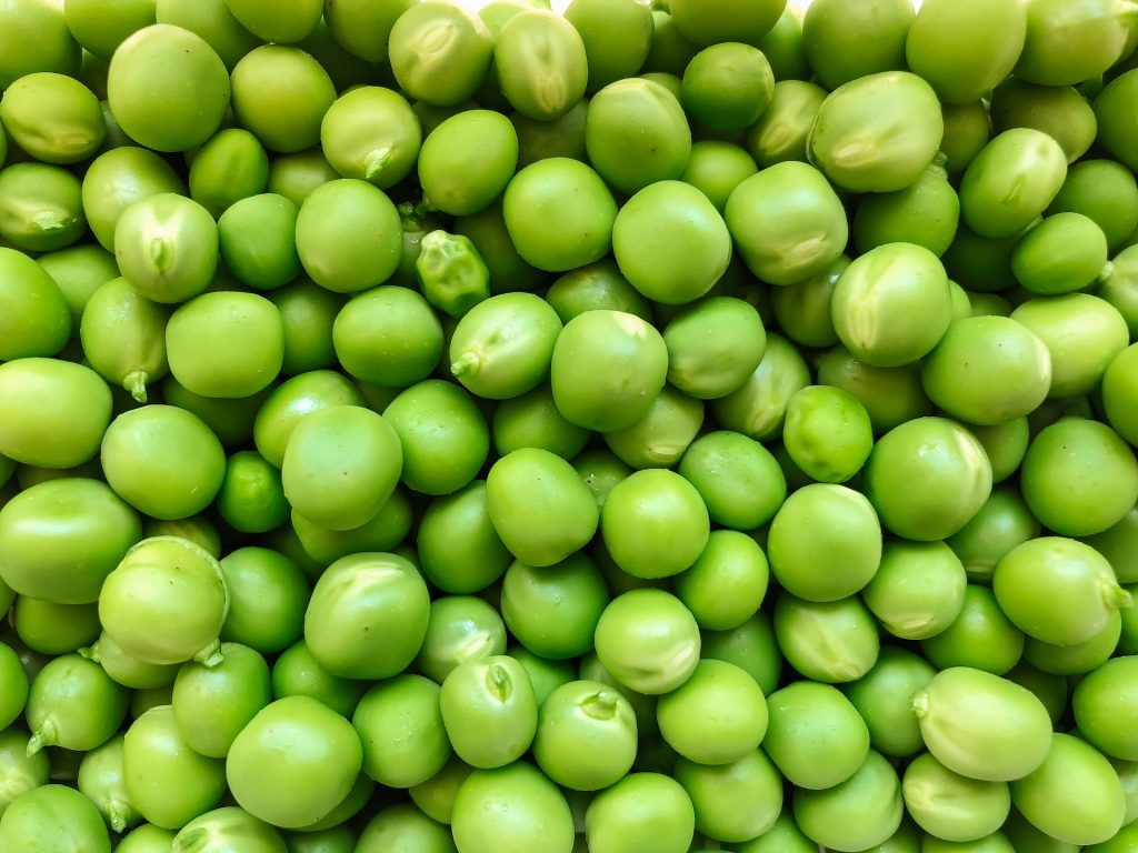 Closeup of large round peas.