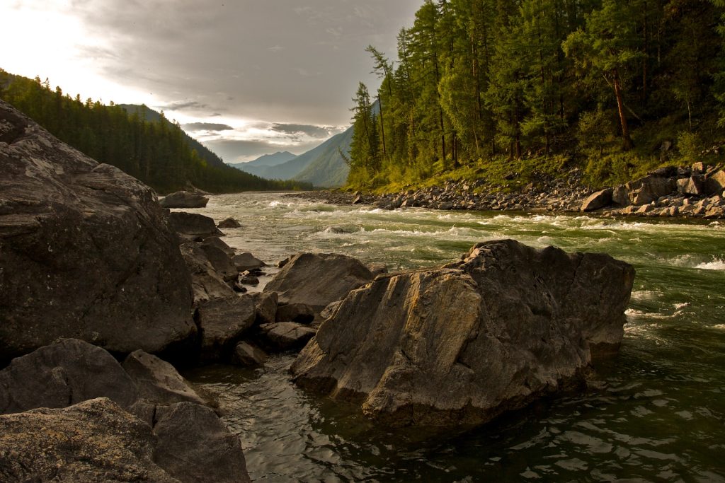 A wild river running through a mountainous forest.