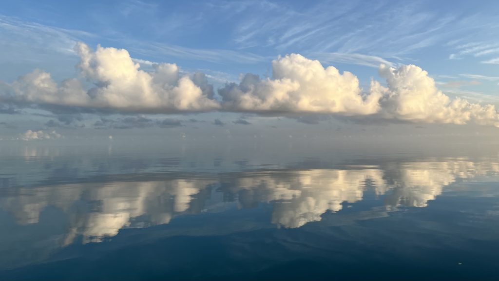 A picture of the sky reflected in a calm sea with no discernible horizon.