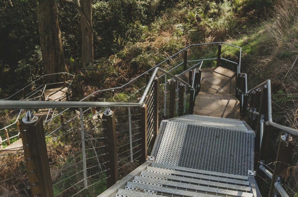 A set of metal steps leads down a steep wooded escarpment going deeper into a forest of pine trees.