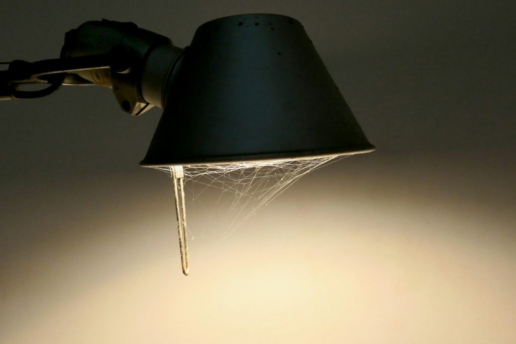 A lamp is covered with cobwebs.