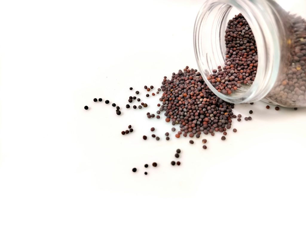 A glass jar is tipped over and mustard seeds spill out onto a counter.